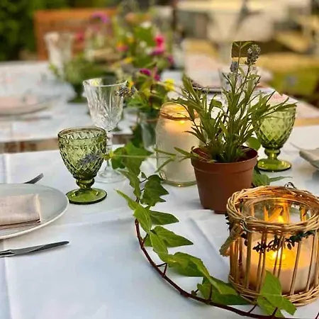 La Palmera Del Puerto *