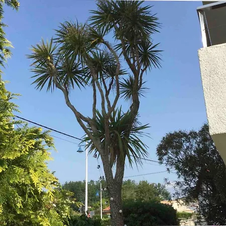 Дом отдыха La Palmera Del Puerto *