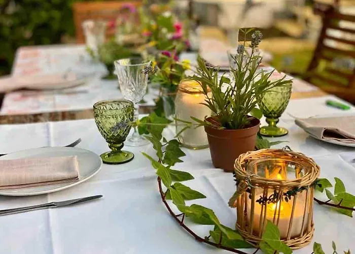 La Palmera Del Puerto *