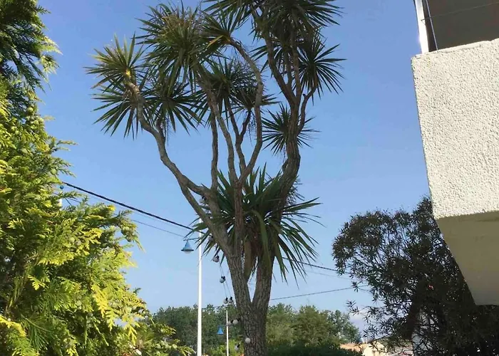 בית נופש La Palmera Del Puerto *