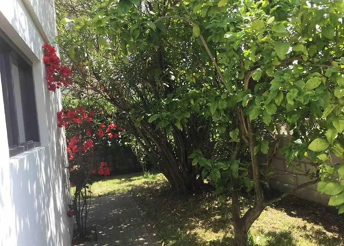 La Palmera Del Puerto