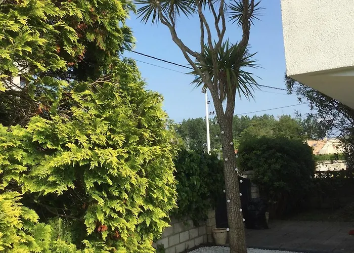 La Palmera Del Puerto * סואנסס