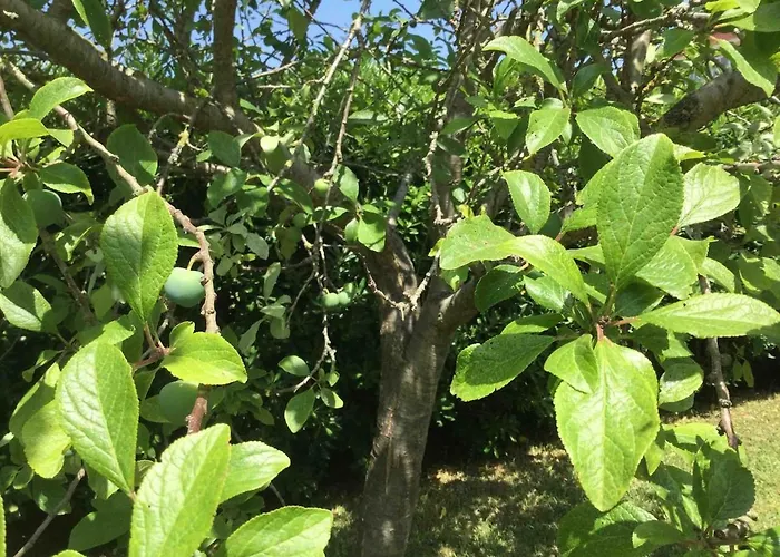 La Palmera Del Puerto בית נופש