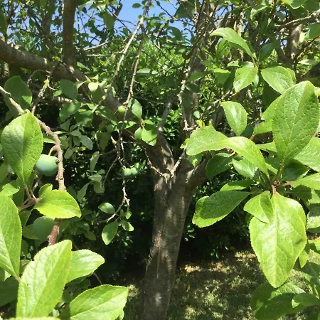 La Palmera Del Puerto Vakantiehuis
