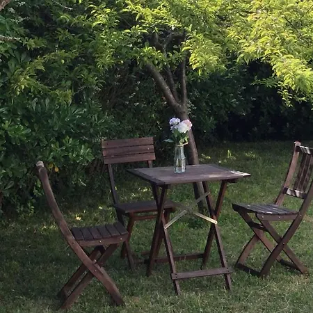 La Palmera Del Puerto *