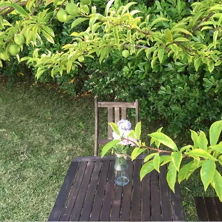 La Palmera Del Puerto Vakantiehuis