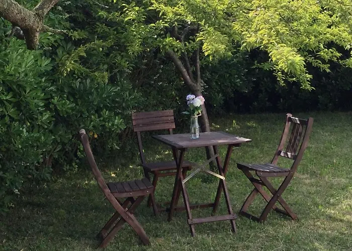 La Palmera Del Puerto *